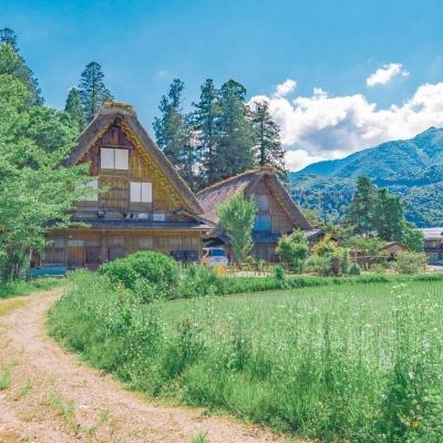 魔幻认识人民币